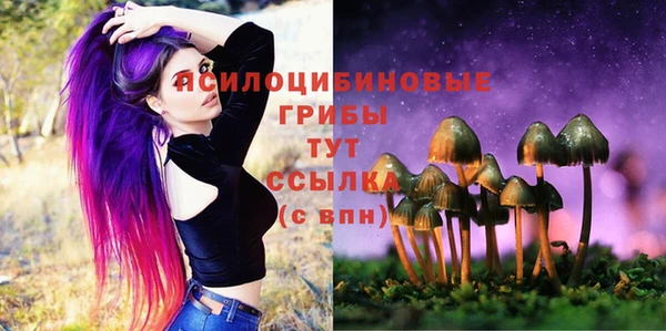 mdpv Новозыбков