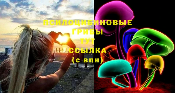 трава Белая Калитва