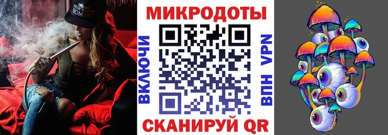 дарнет шоп  Нолинск  Псилоцибиновые грибы мицелий 