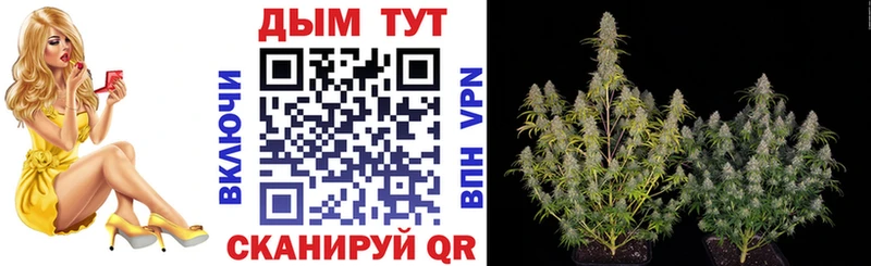 Бошки марихуана конопля  OMG сайт  Нолинск 